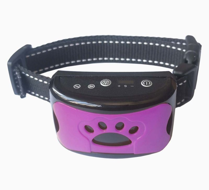 collier anti aboiements hushpawcollar violet