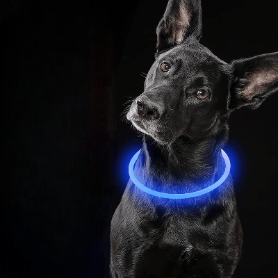 Collier Chien - DogCollarLightâą - Bleu - Tout pour Papattes