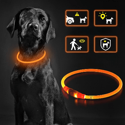 Collier Chien - DogCollarLightâą - Orange - Tout pour Papattes
