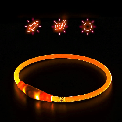 Collier Chien - DogCollarLightâą - Orange - Tout pour Papattes