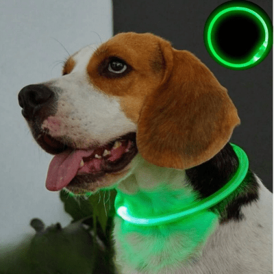 Collier Chien - DogCollarLightâą - Vert - Tout pour Papattes