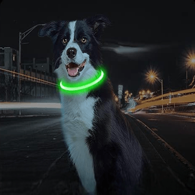 Collier Chien - DogCollarLightâą - Vert - Tout pour Papattes