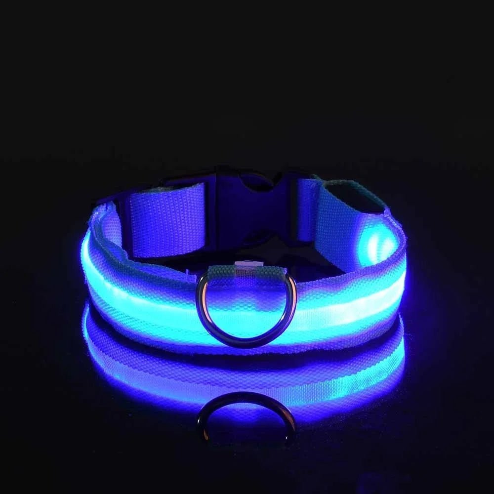 Collier Chien - LEDCollarDogâą - Bleu - Tout pour Papattes