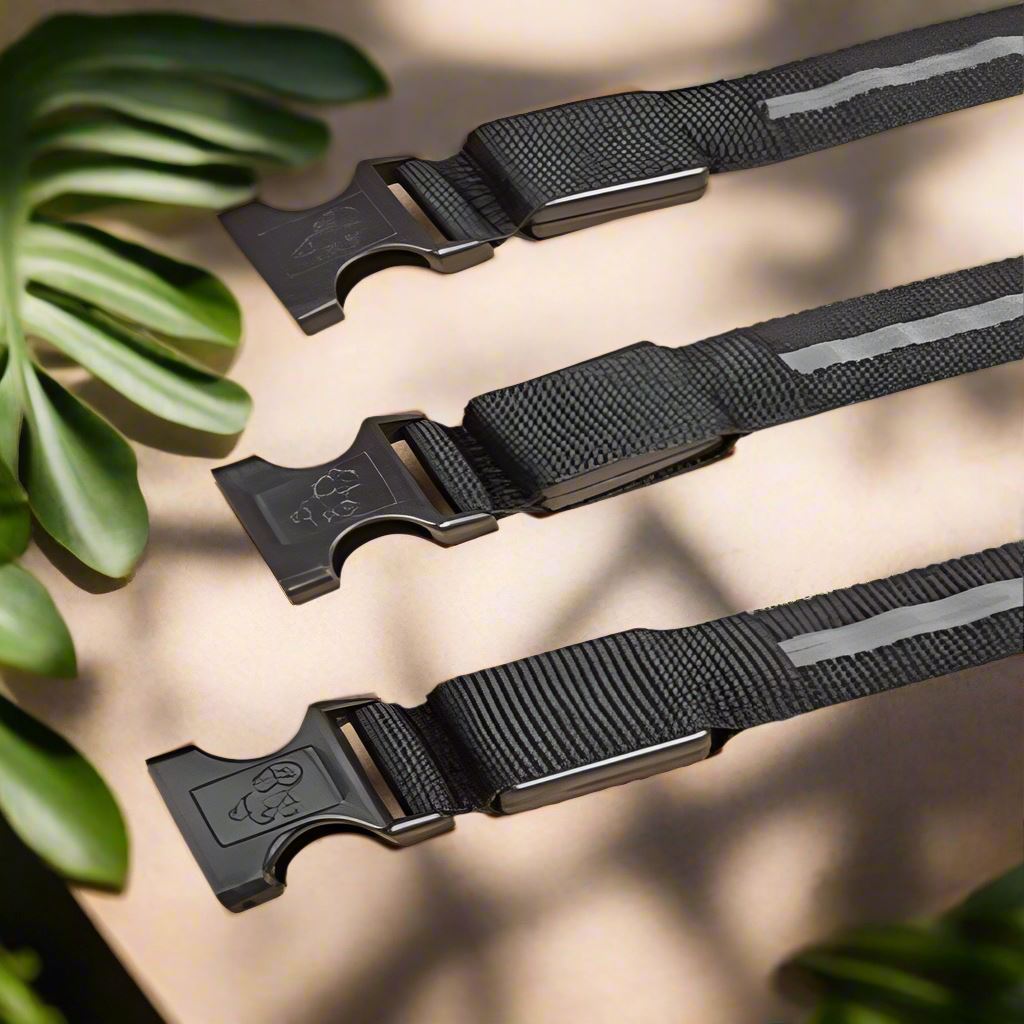 Collier Chien - LEDCollarDogâą - Noir - Tout pour Papattes