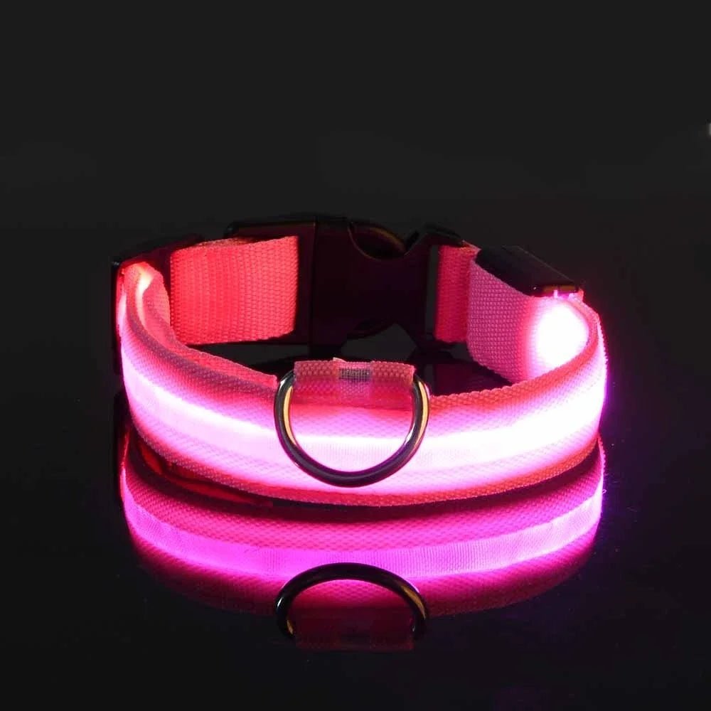 Collier Chien - LEDCollarDogâą - Rose - Tout pour Papattes