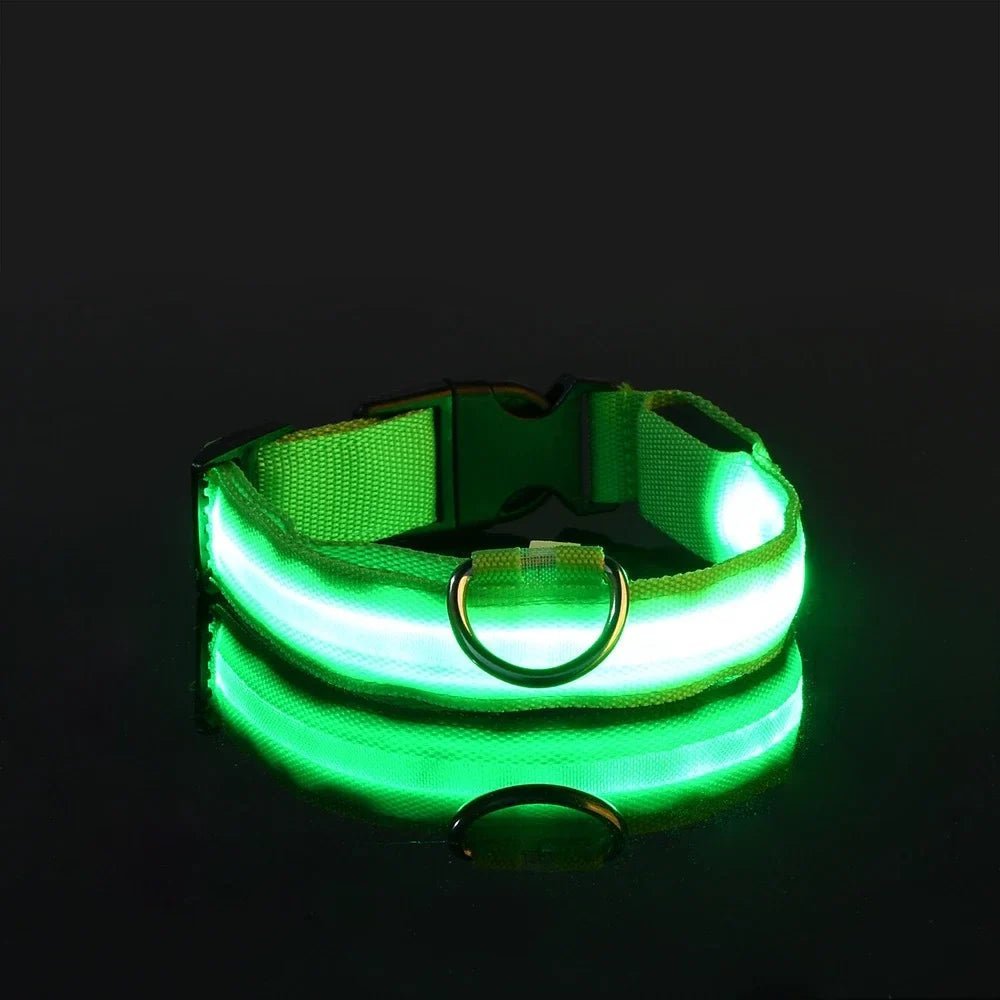 Collier Chien - LEDCollarDogâą - Vert - Tout pour Papattes