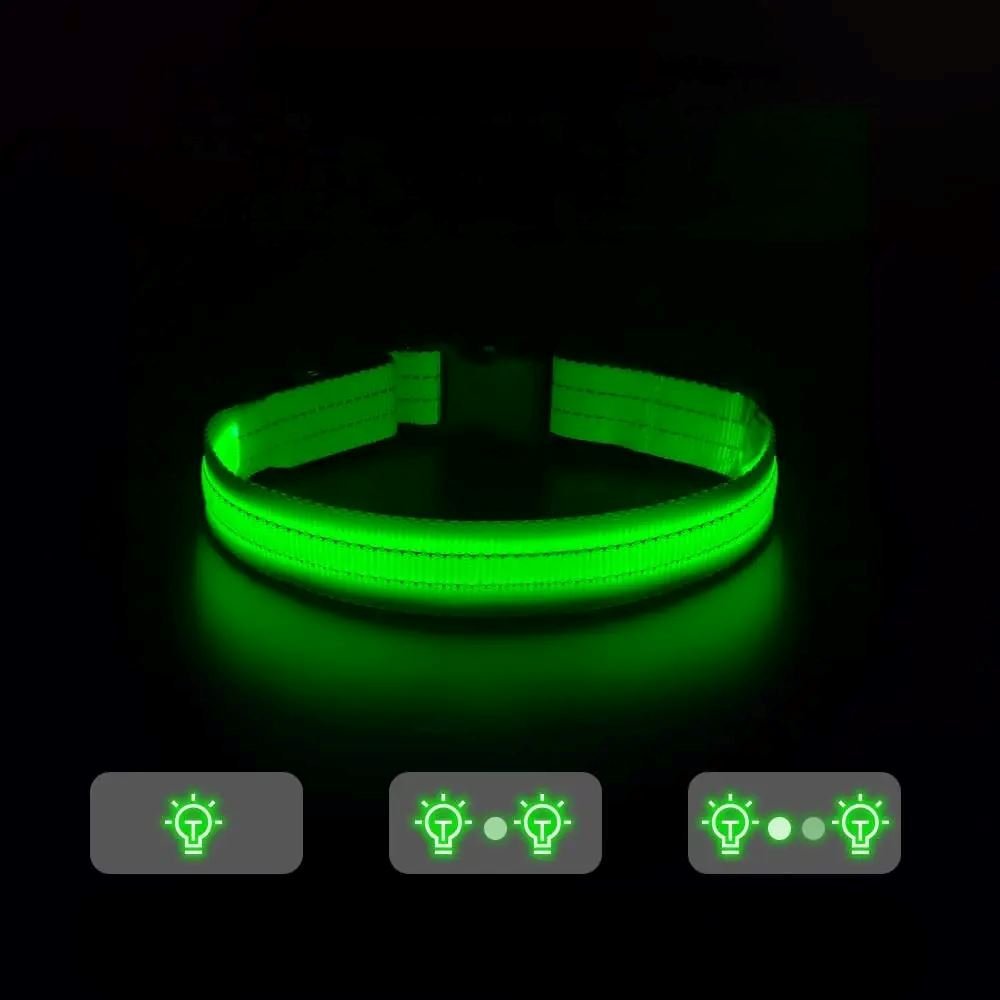 Collier Chien - LEDCollarDogâą - Vert - Tout pour Papattes