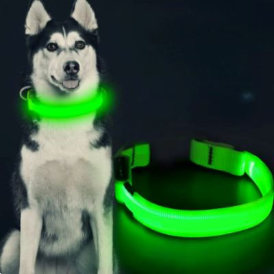 Collier Chien - LEDCollarDogâą - Vert - Tout pour Papattes