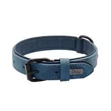 collier cuir chien colorfulleathercollar bleu