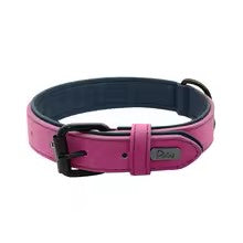 collier cuir chien colorfulleathercollar violet