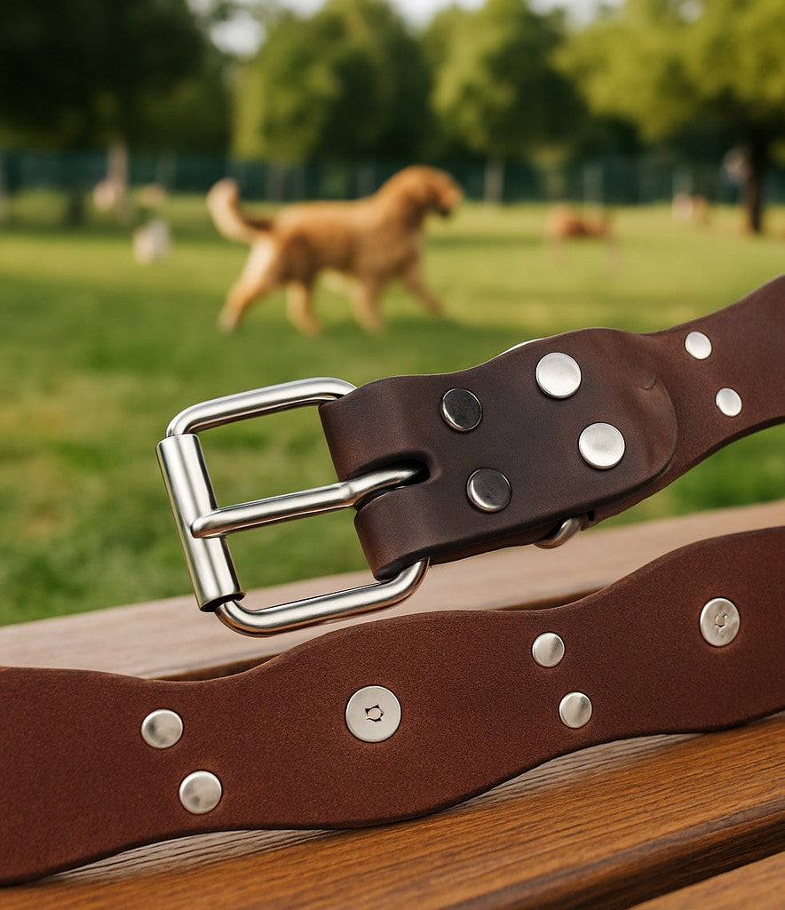 collier pour chien en cuir vintageleathercollar boucle texture cuir