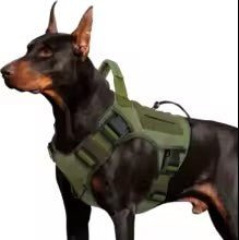 harnais chien anti traction horizon k9 vert militaire