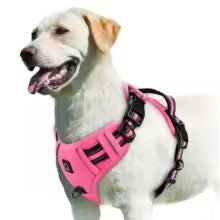 harnais chien anti traction sweetwalker couleur rose