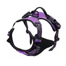 harnais chien comfortdog violet
