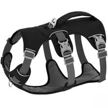 harnais chien safedog noir
