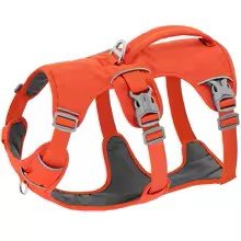 harnais chien safedog orange