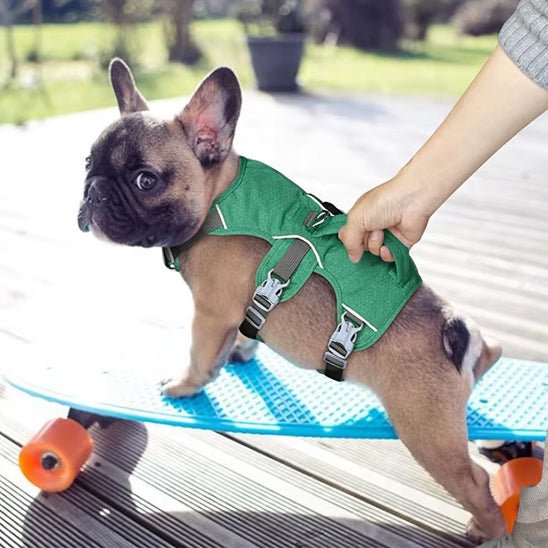harnais chien safedog vert bouledogue francais planche roulette