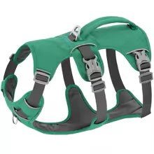 harnais chien safedog vert