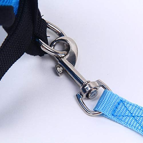 Harnais Petit Chien - DogHarnessLeadLeashâą - Bleu - Tout pour Papattes