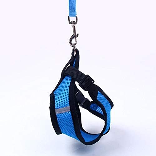 Harnais Petit Chien - DogHarnessLeadLeashâą - Bleu - Tout pour Papattes