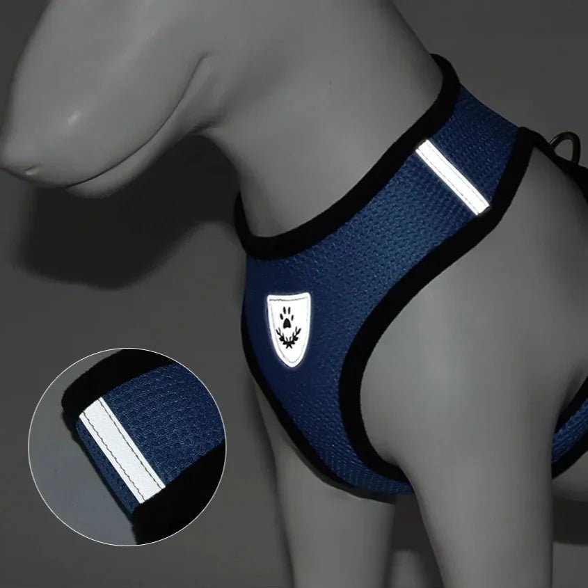 Harnais Petit Chien - DogHarnessLeadLeashâą - Bleu - Tout pour Papattes