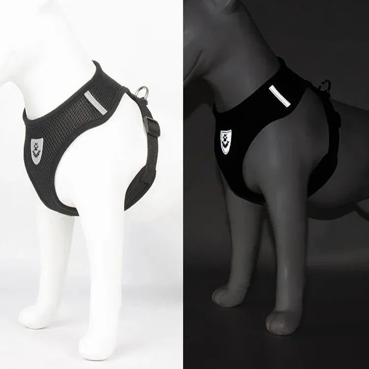 Harnais Petit Chien - DogHarnessLeadLeashâą - Noir - Tout pour Papattes
