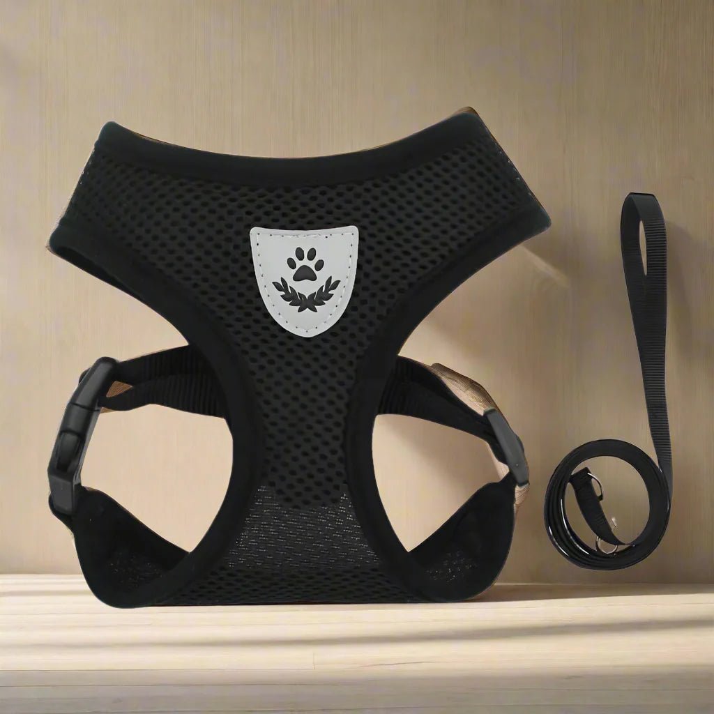 Harnais Petit Chien - DogHarnessLeadLeashâą - Noir - Tout pour Papattes