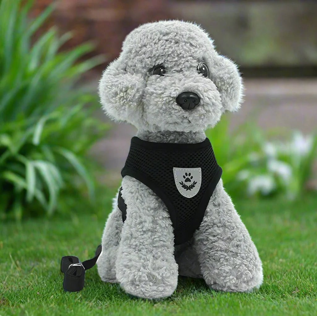 Harnais Petit Chien - DogHarnessLeadLeashâą - Noir - Tout pour Papattes