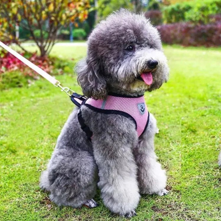 Harnais Petit Chien - DogHarnessLeadLeash™ - Rose - Tout pour Papattes