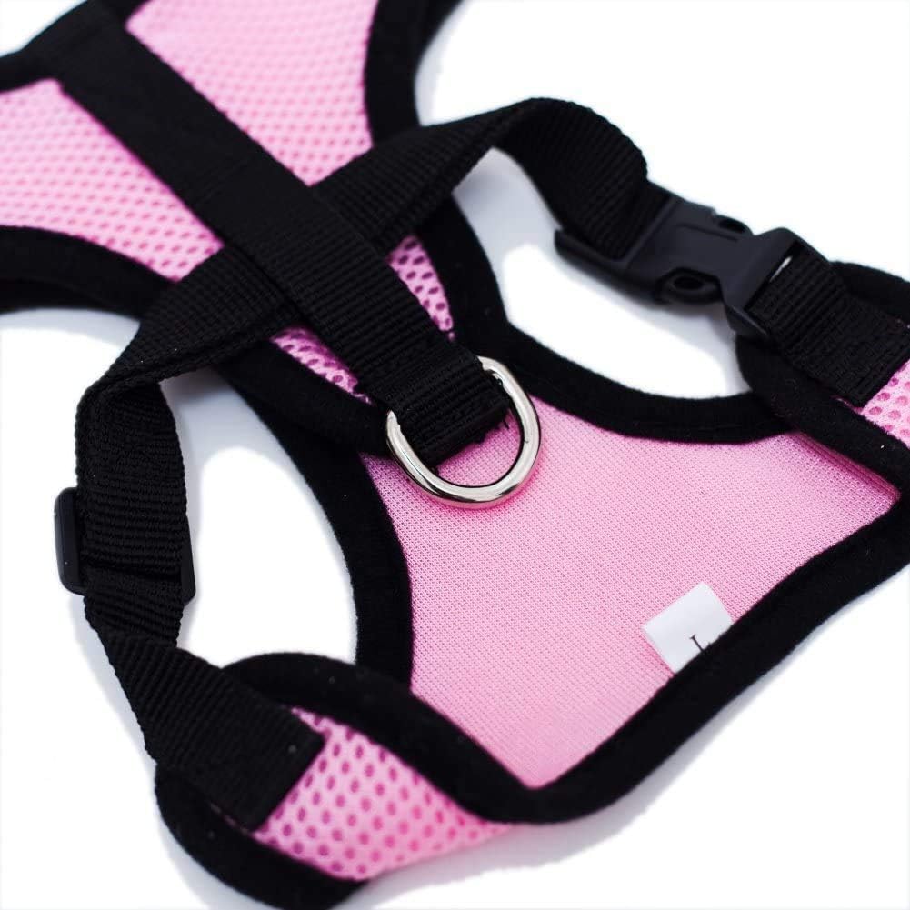 Harnais Petit Chien - DogHarnessLeadLeash™ - Rose - Tout pour Papattes
