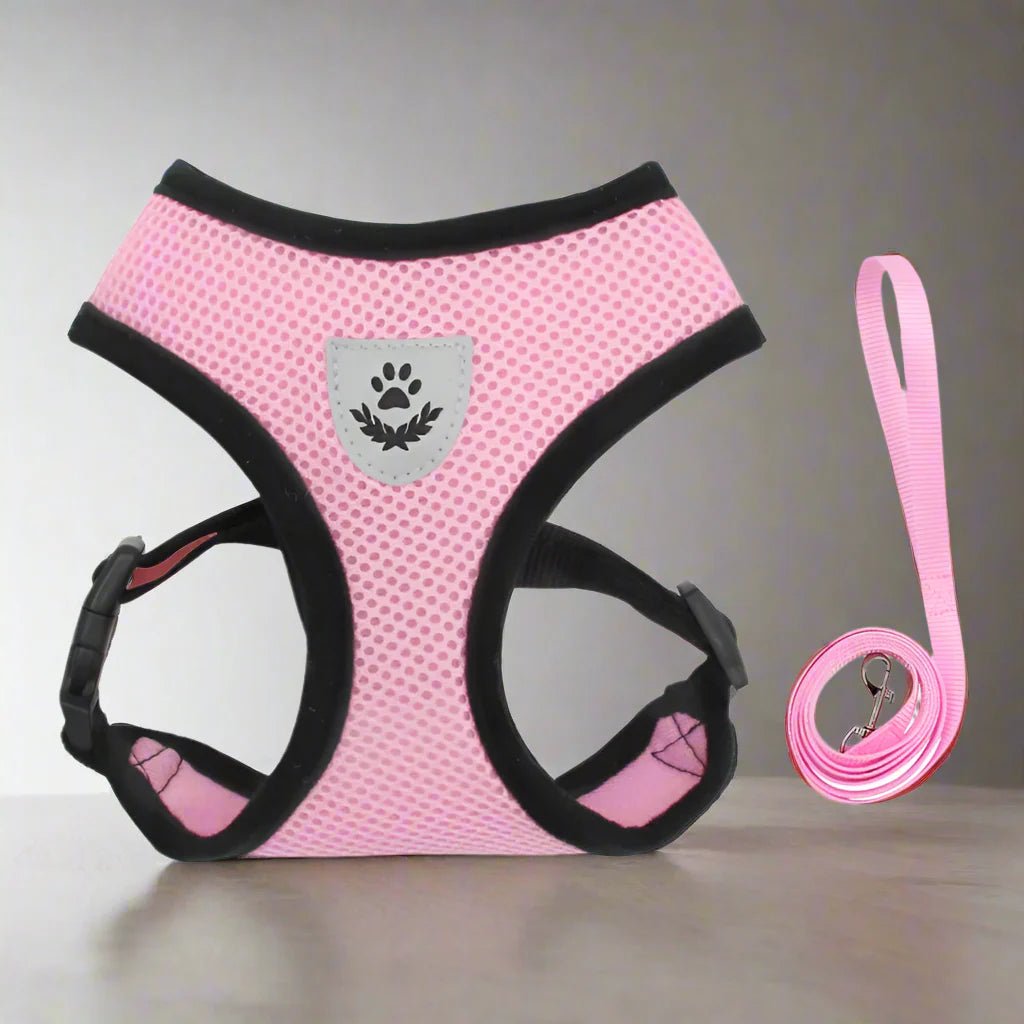 Harnais Petit Chien - DogHarnessLeadLeash™ - Rose - Tout pour Papattes