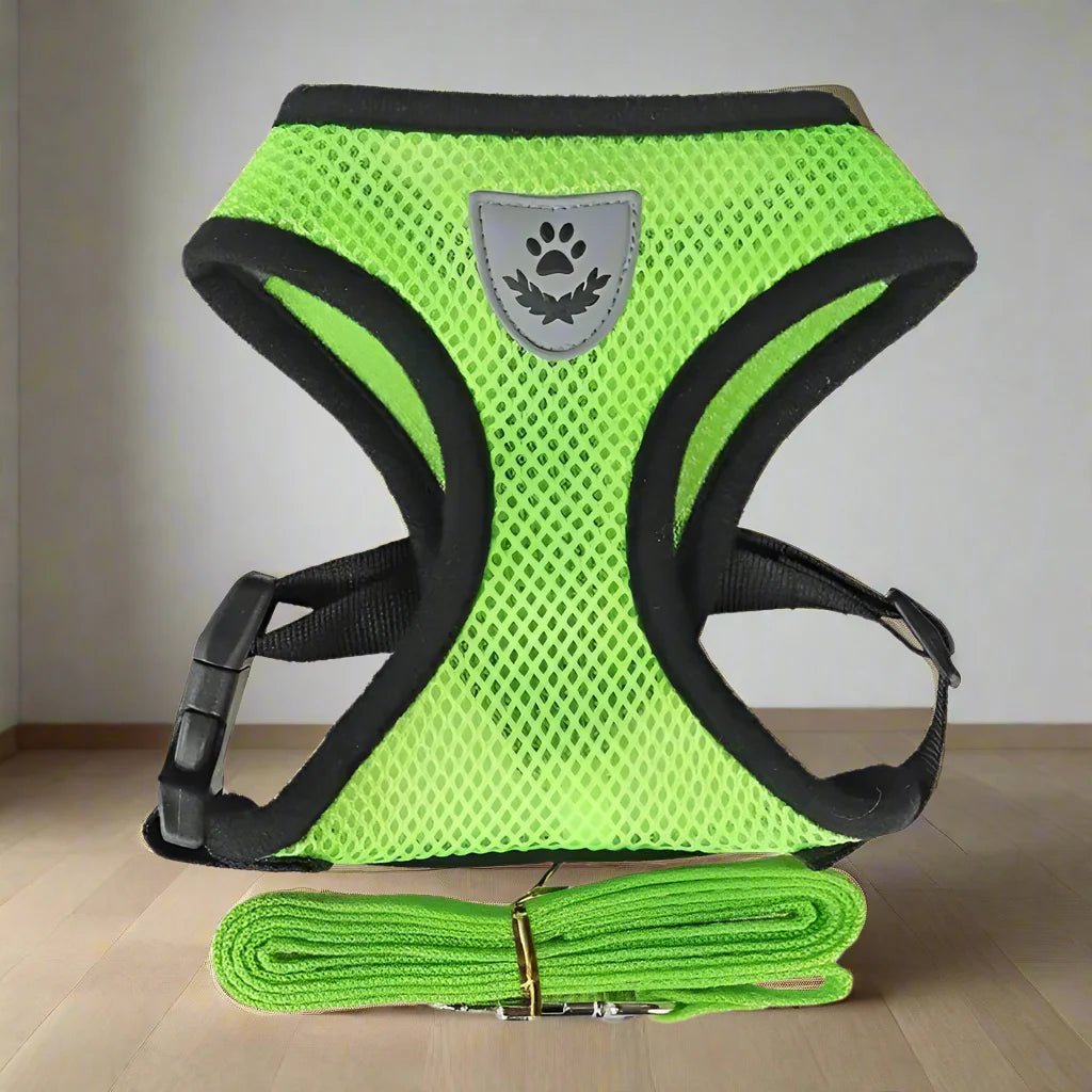 Harnais Petit Chien - DogHarnessLeadLeashâą - Vert - Tout pour Papattes
