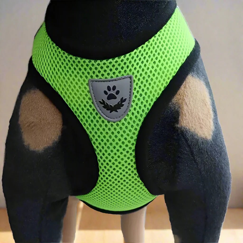 Harnais Petit Chien - DogHarnessLeadLeashâą - Vert - Tout pour Papattes