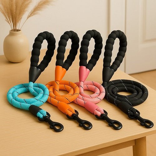 laisse pour chien caniconfort presentation quatre laisses vestibule