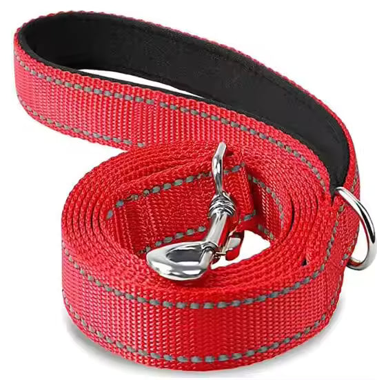 laisse pour chien canileash rouge