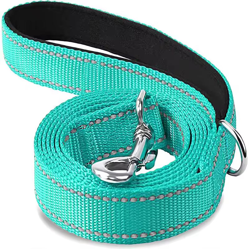 laisse pour chien canileash turquoise