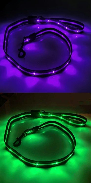 laisse pour chien caniled mauve vert