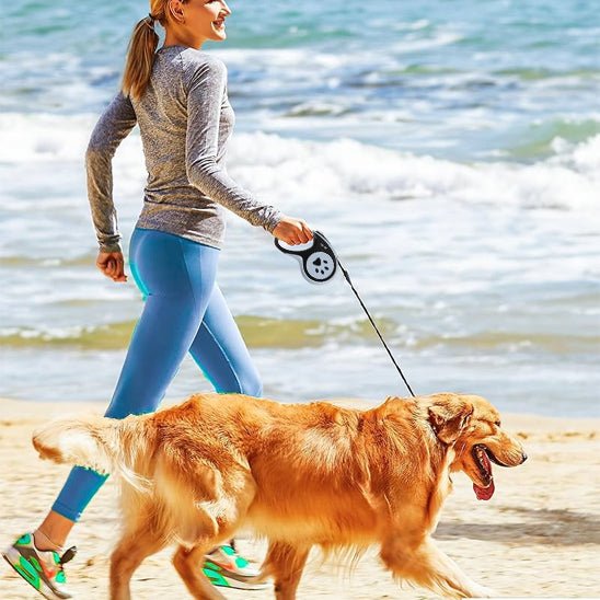 laisse pour chien caniretract golden plage maitresse
