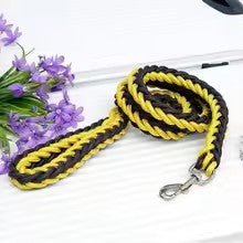 laisse pour chien canirobuste jaune et noir