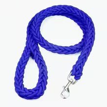 laisse pour chien camirobuste bleu