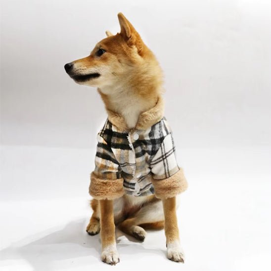 manteau pour chien canichic beige shiba inu montre devant manteau