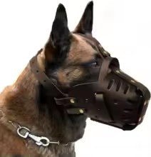 museliere wildleather variante couleur chocolat