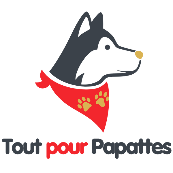 Tout pour Papattes