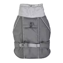 chien manteau streetcol gris