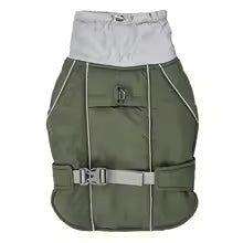 chien manteau streetcol vert militaire
