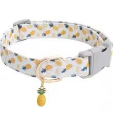 collier chien fruitycharm ananas
