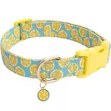 collier chien fruitycharm citron