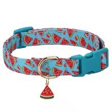 collier chien fruitycharm melon bleu