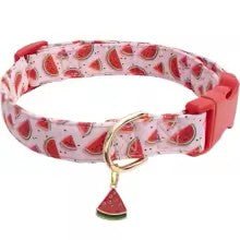 collier chien fruitycharm melon rose