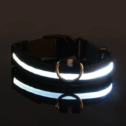 Collier Chien - LEDCollarDog™ - Noir - Tout pour Papattes